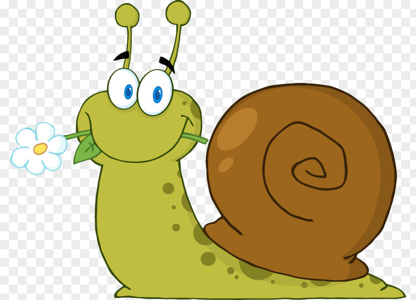 Cartoon Snail Royalty-free Clip Art PNG