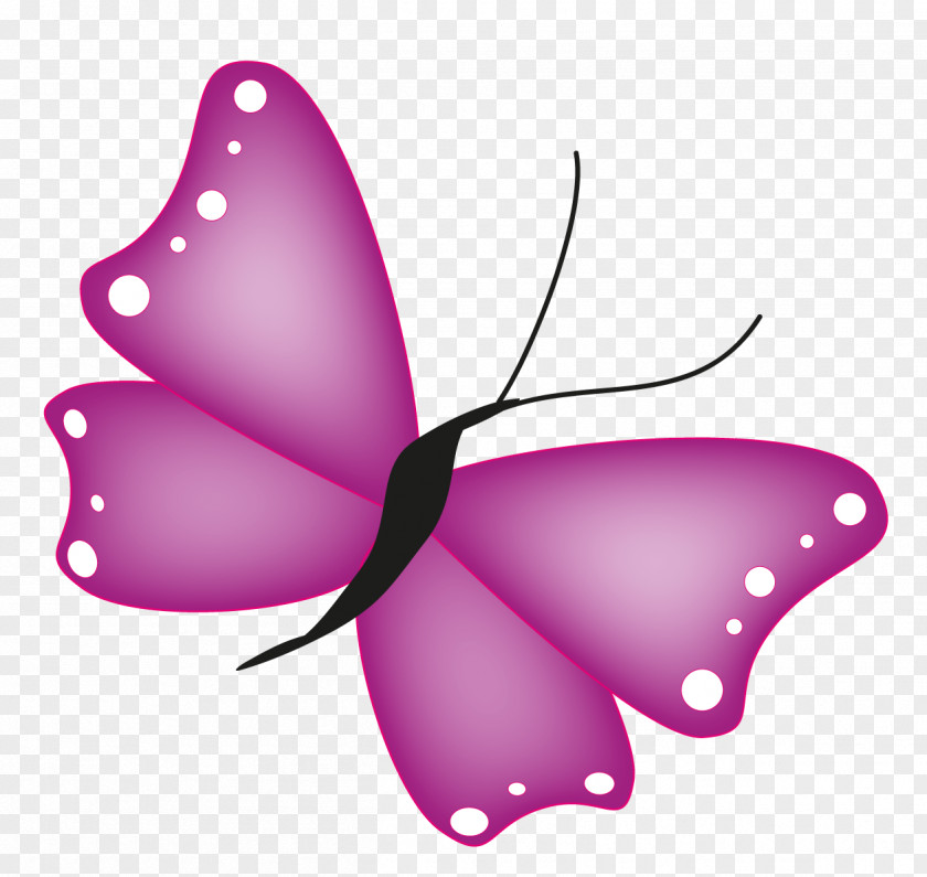 Monarch Butterfly Illustration Illustrator Graphics Graphic Designer PNG