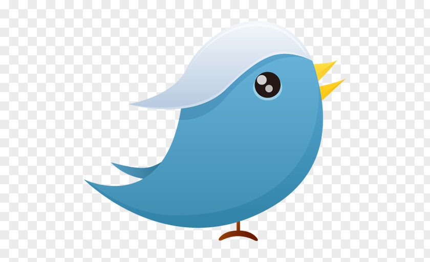 Twitter Water Bird Fish Wing Illustration PNG