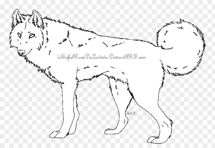 Wolf Face Whiskers Cat Dog Breed Lion PNG