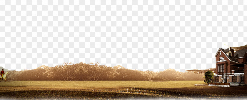 Yellow Autumn Leaves Background Land Wood PNG