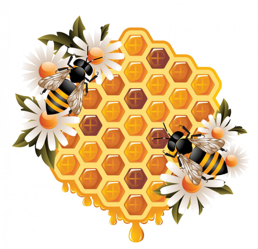 Bee Honey Honeycomb Beehive PNG