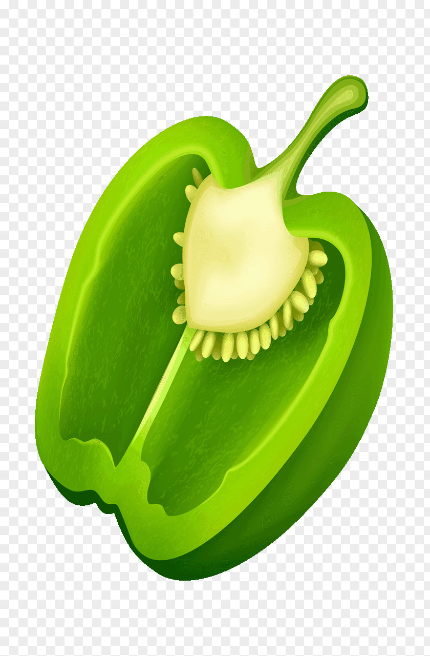 Bell Peppers And Chili Pepper Serrano Food Clip Art PNG