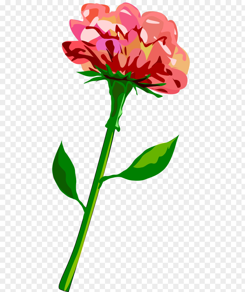 Customer Pick Up Flower Clip Art Plant Stem Rose PNG