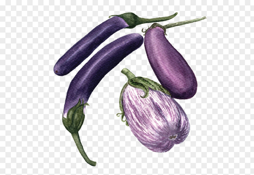 Eggplant Vegetable Food San Marzano Tomato PNG