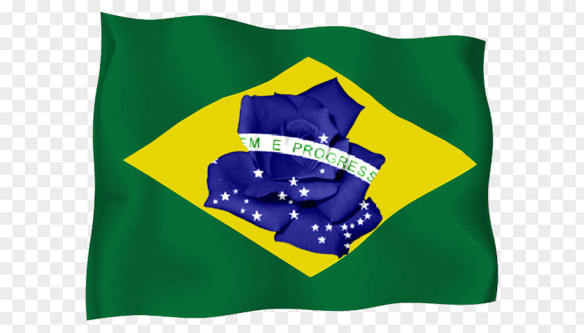 Flag Of Brazil Antunes Estilización PNG