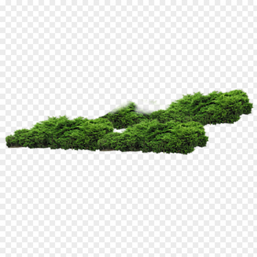 Green Grass Purple Icon PNG
