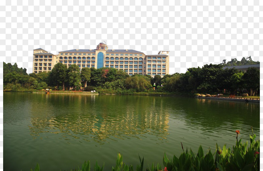 Guangzhou Hengda Hotel Landscape Canton Tower U6052u5927u9152u5e97 Evergrande Taobao F.C. PNG