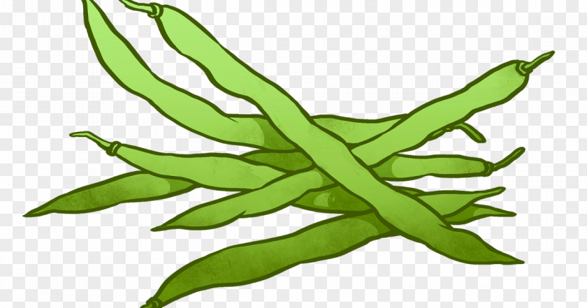 Red Beans Green Bean Casserole Clip Art PNG