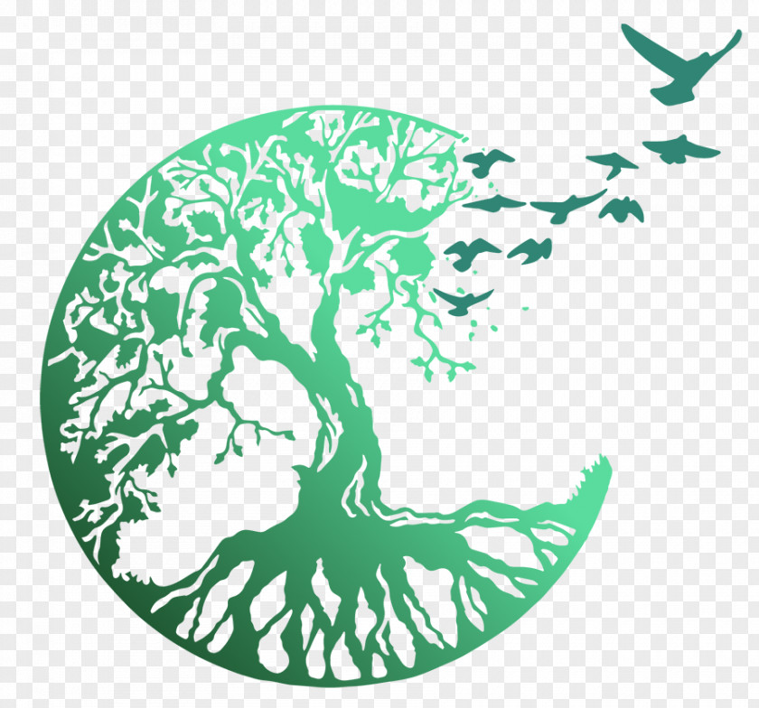 Tree Of Life Celtic Sacred Trees Symbol Image PNG