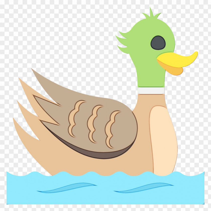Waterfowl Livestock Chicken Cartoon PNG