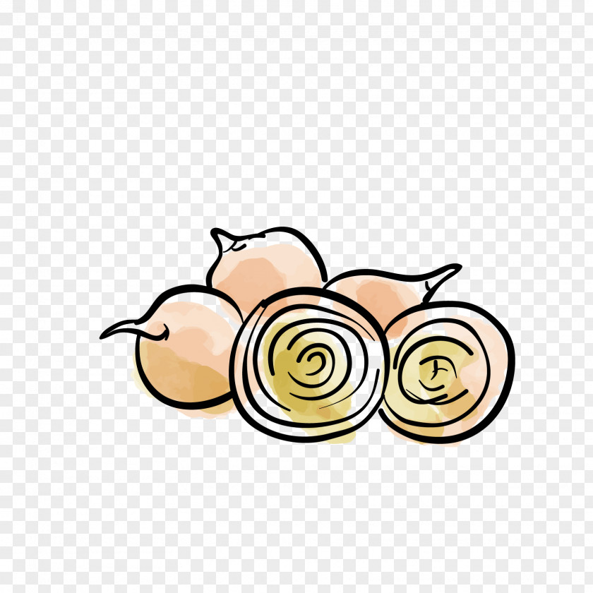 Onion Garlic Vegetable Ingredient PNG