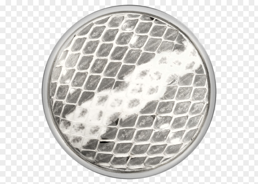 Silver Snake Steel Coin Plating PNG