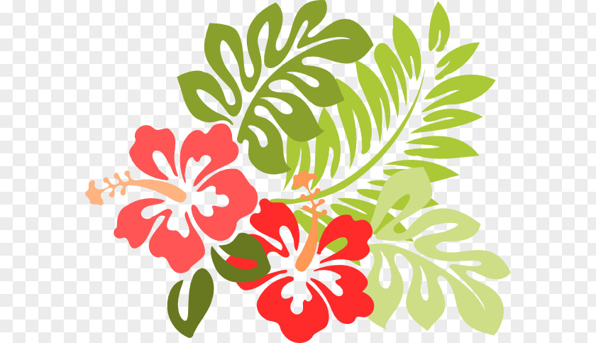 Tropical Line Cliparts Hawaiian Hibiscus Clip Art PNG