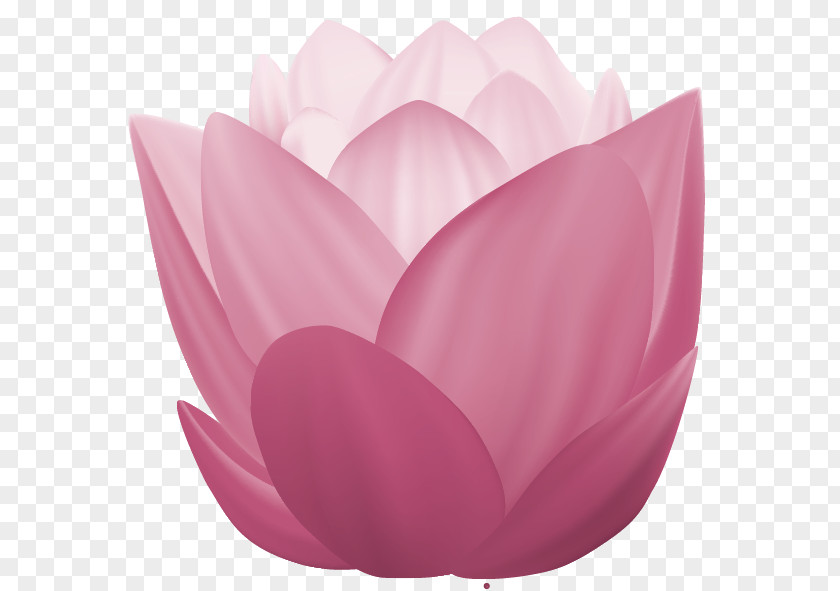 Vesak Day Cartoon Lotus Image Nymphaea Nelumbo Mid-Autumn Festival China Design PNG