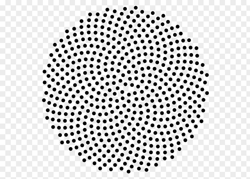 Golden Pattern Fibonacci Number Sacred Geometry Organization Spiral PNG