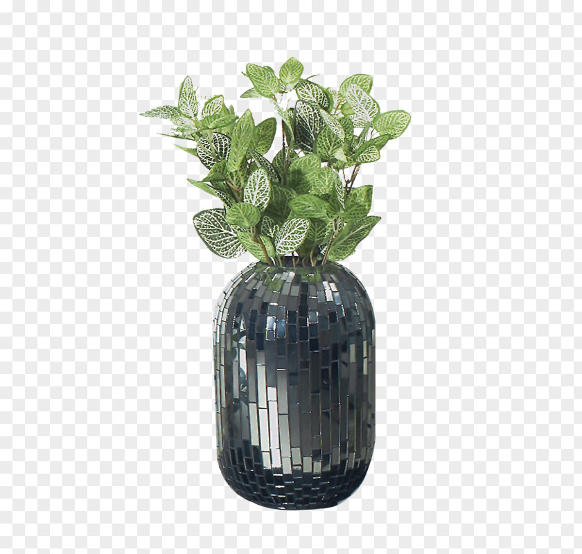 Vase Transparency And Translucency PNG