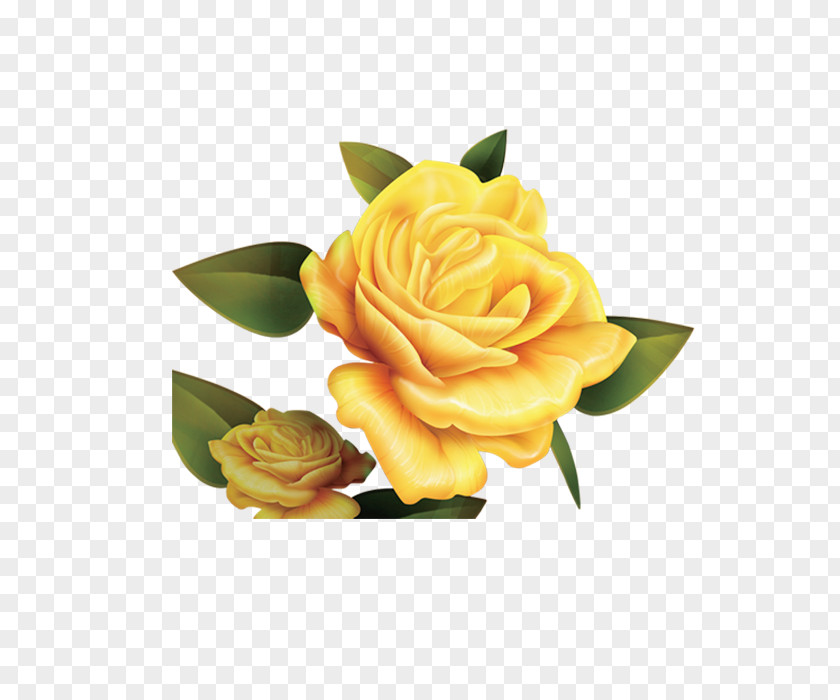 Yellow Rose Garden Roses Paper Beach Parchment PNG