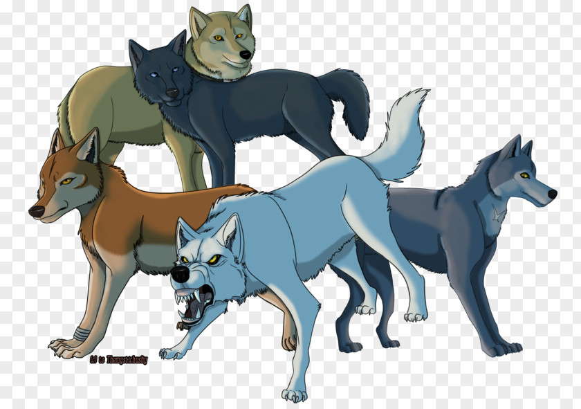 BLUE WOLF Shikoku Dog Saarloos Wolfdog Czechoslovakian Canidae Animal PNG