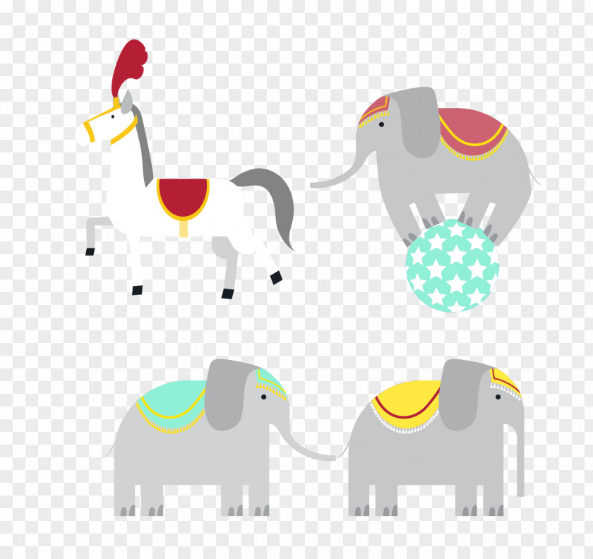 Elephant Performance Circus PNG