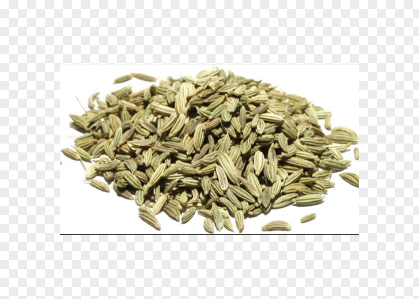 Fennel Seed Anise Spice Indian Cuisine PNG