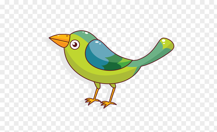 Green Bird Parrot Owl Cartoon PNG