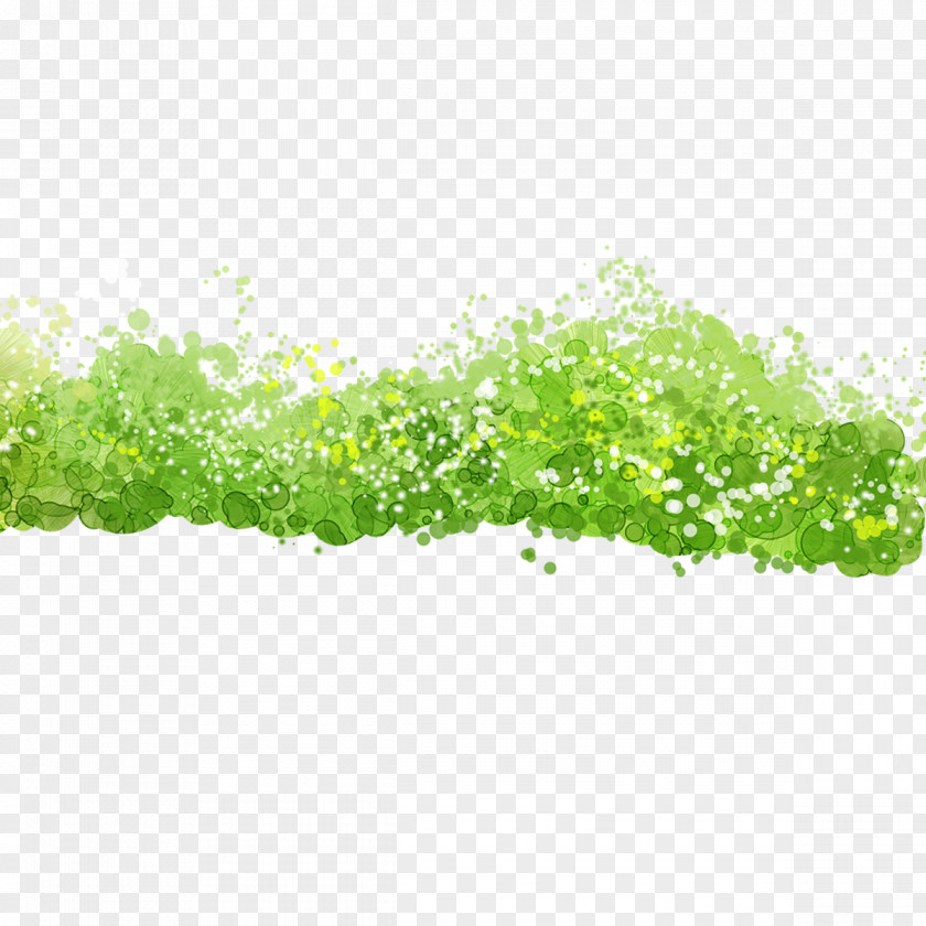 Green Grass Gratis Euclidean Vector PNG