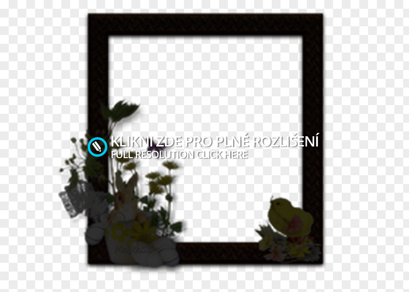 Vas Picture Frames Rectangle Font PNG