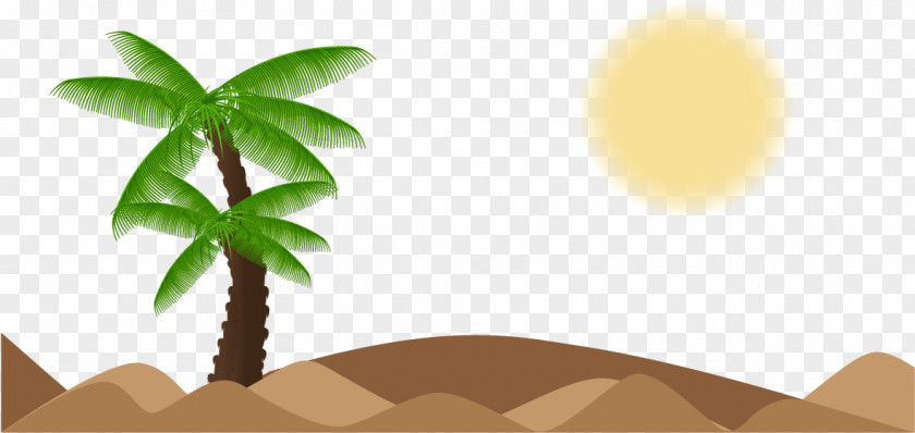 Vector Beach Coconut Trees And Sun Tree Arecaceae Landscape Euclidean PNG