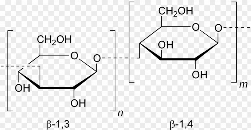 1,3-Beta-glucan Synthase Lichenin Polysaccharide PNG