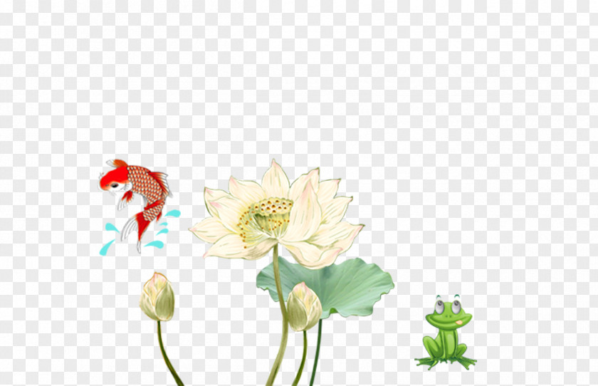 Chinese Lotus Fish Frog Creative Elements China PNG