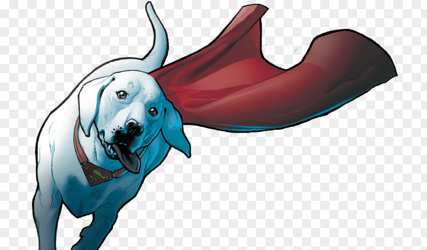 Dc Heroes Dog Marine Mammal Snout Clip Art PNG