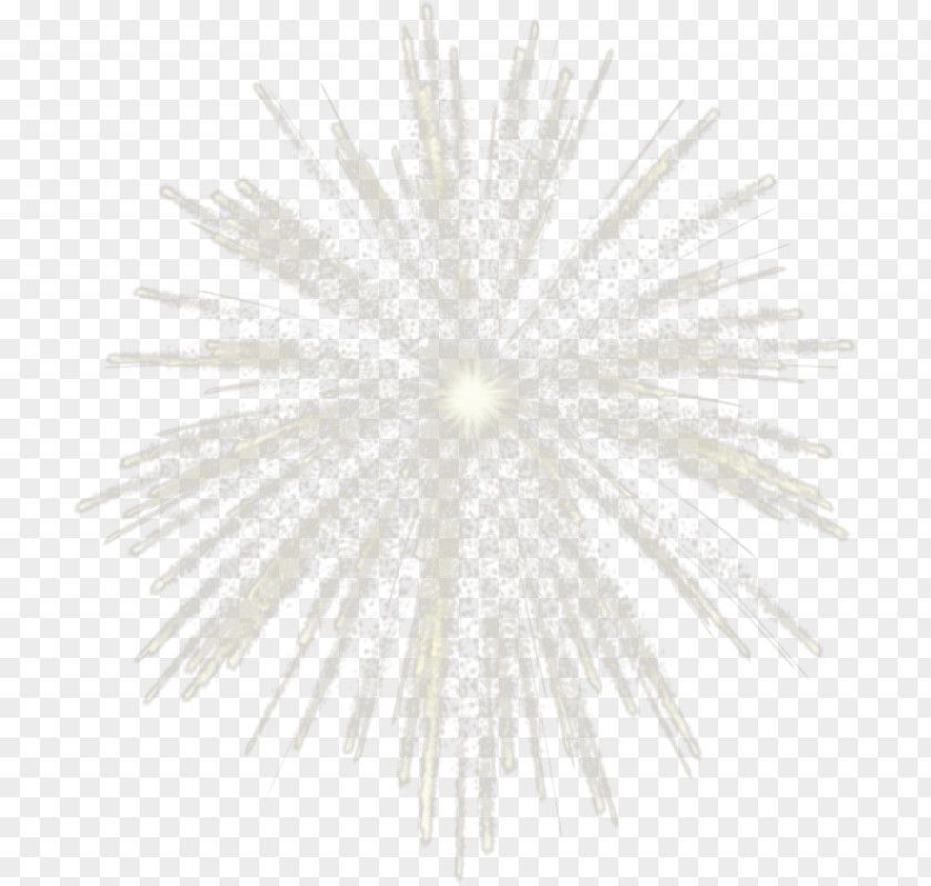 Fireworks White Symmetry Structure Pattern PNG