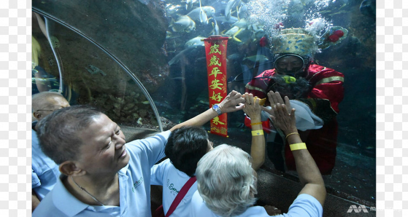 Fortune God Recreation Tree Tourism Event PNG