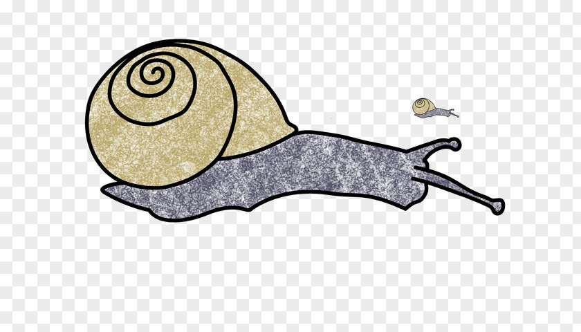 Invertebrate Lymnaeidae Snail Cartoon PNG
