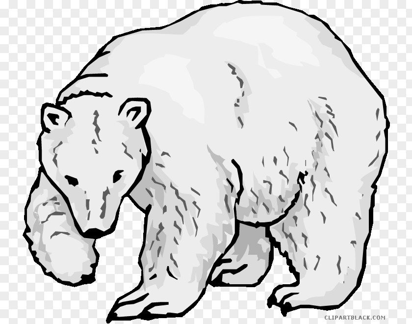 Polar Bear Endangered Species Coloring Book Arctic Fox PNG