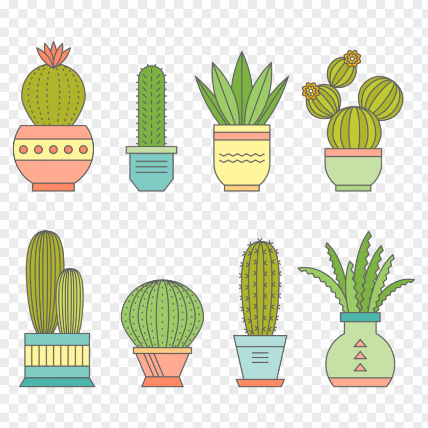 Prickly Pear IPhone 3G Cactaceae A Bowl Of Flowers Euclidean Vector Succulent Plant PNG