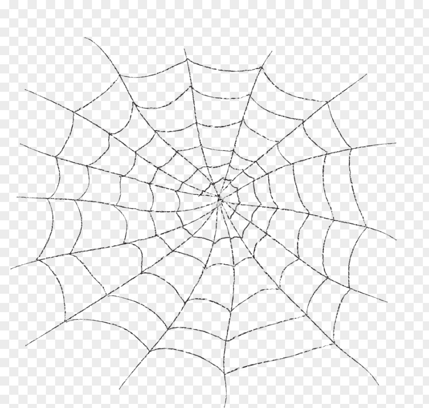 Spider Web Clip Art Line Geometry PNG