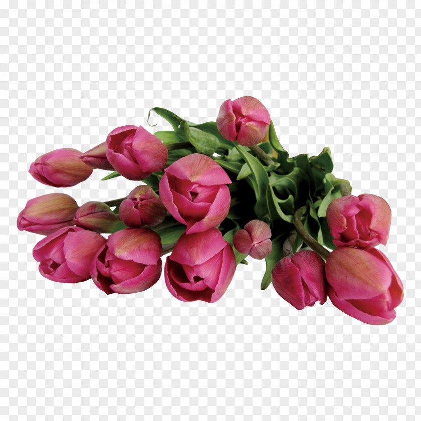 Tulip Flowers Flower Bouquet Clip Art PNG