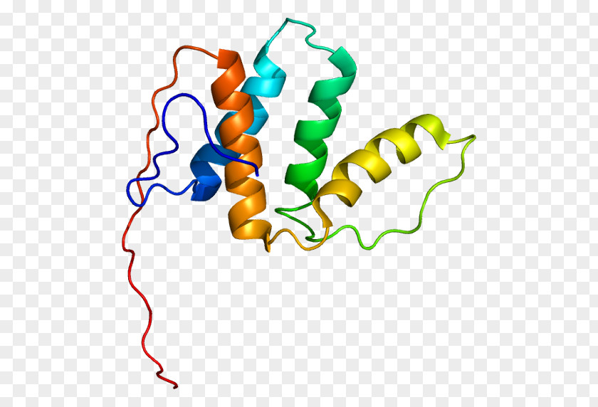 Gene Enoyl CoA Isomerase Enzyme Wikipedia ACOX1 PNG