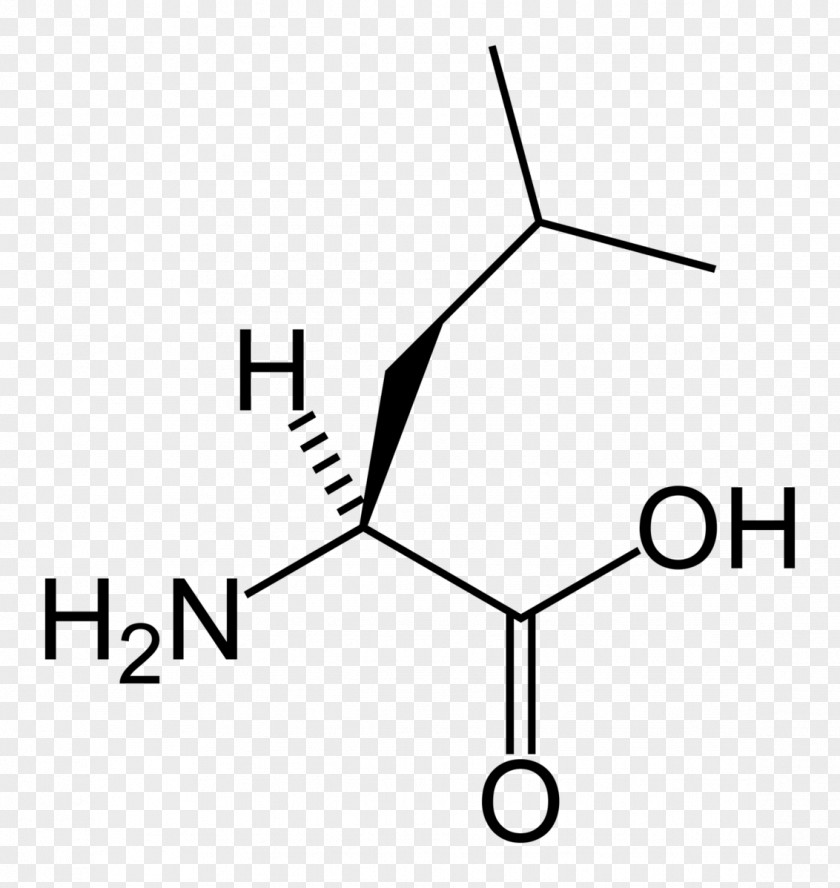 Leucine Branched-chain Amino Acid Proteinogenic Valine PNG