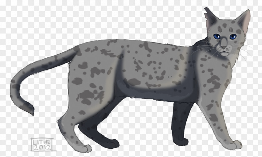 Mottled Wallpaper Warriors Erin Hunter Cat Ashfur Drawing PNG