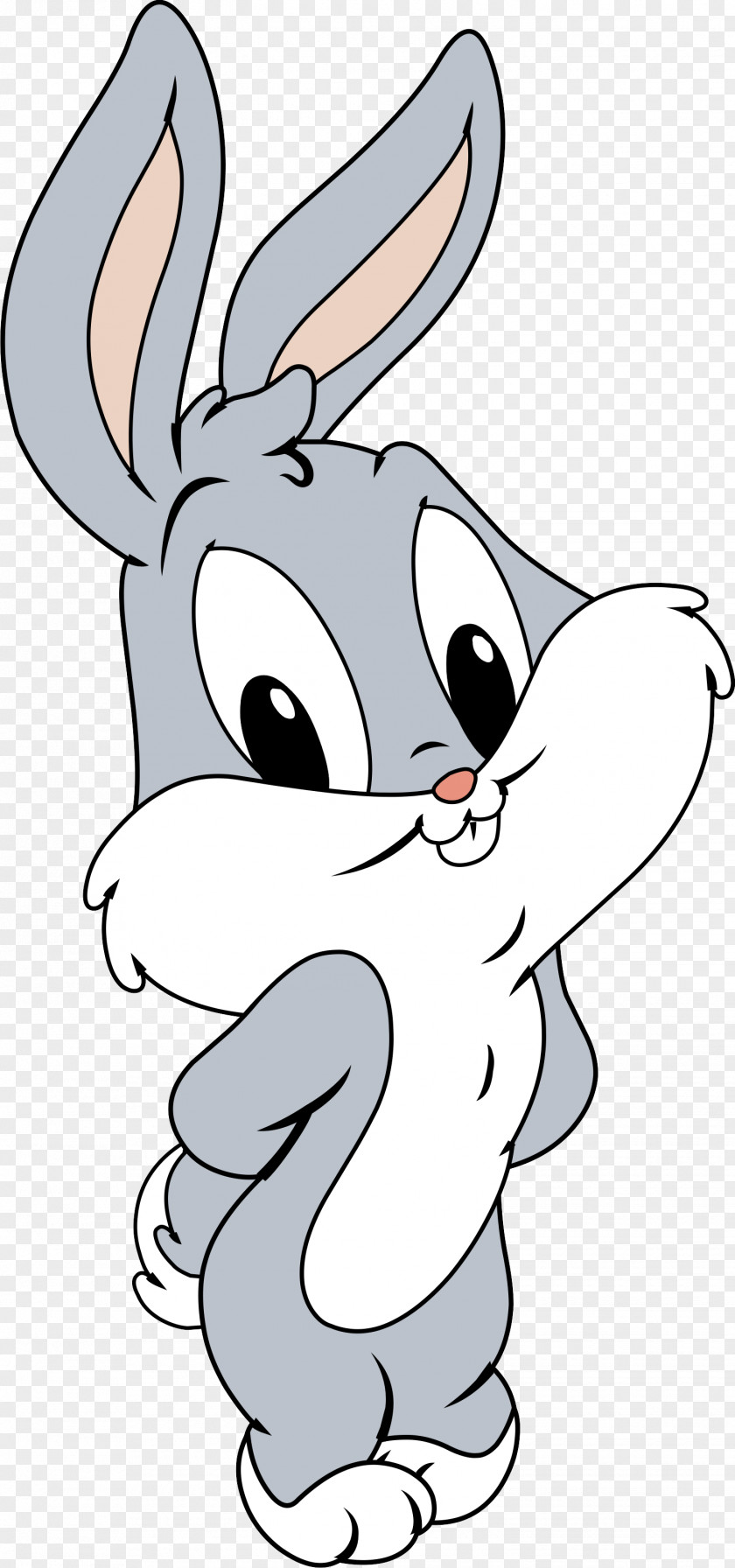 Rabbit Bugs Bunny Daffy Duck Tasmanian Devil Tweety Sylvester PNG