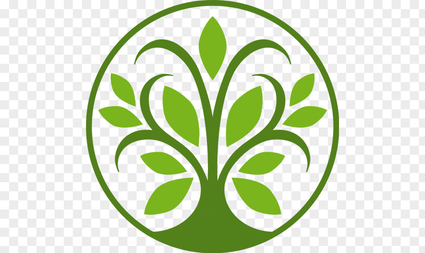 Tree Logo Leaf PNG