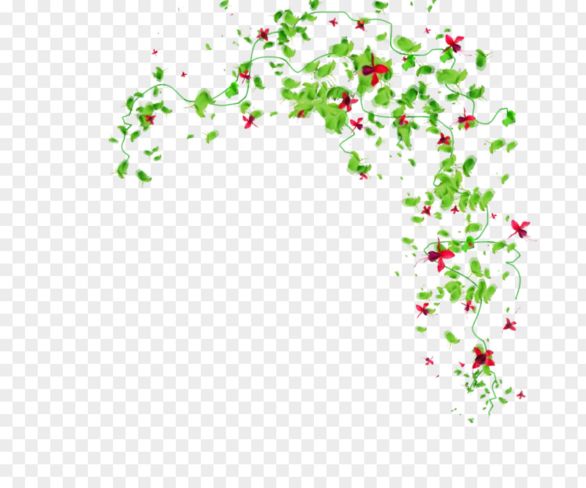 Wildflower Holly Floral Design PNG