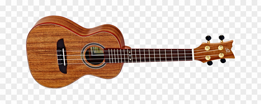 Amancio Ortega Ukulele Classical Guitar Bass Acoustic PNG