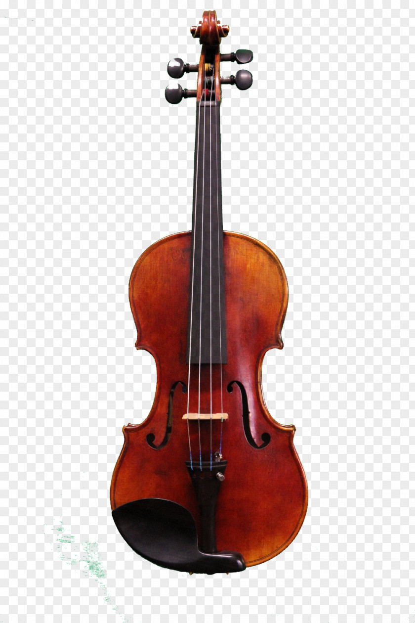 Beautiful Violin String Instruments Viola Cello PNG