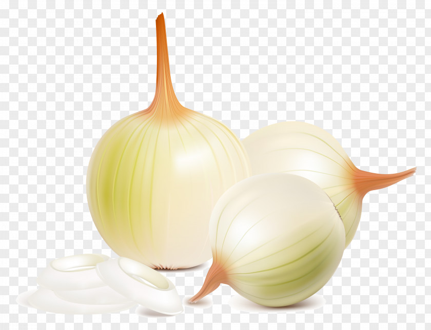 Garlic Red Onion Vegetable Parsley PNG