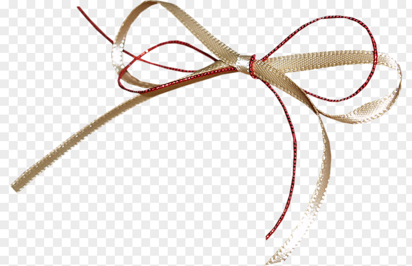 Rope Bow Dynamic PNG