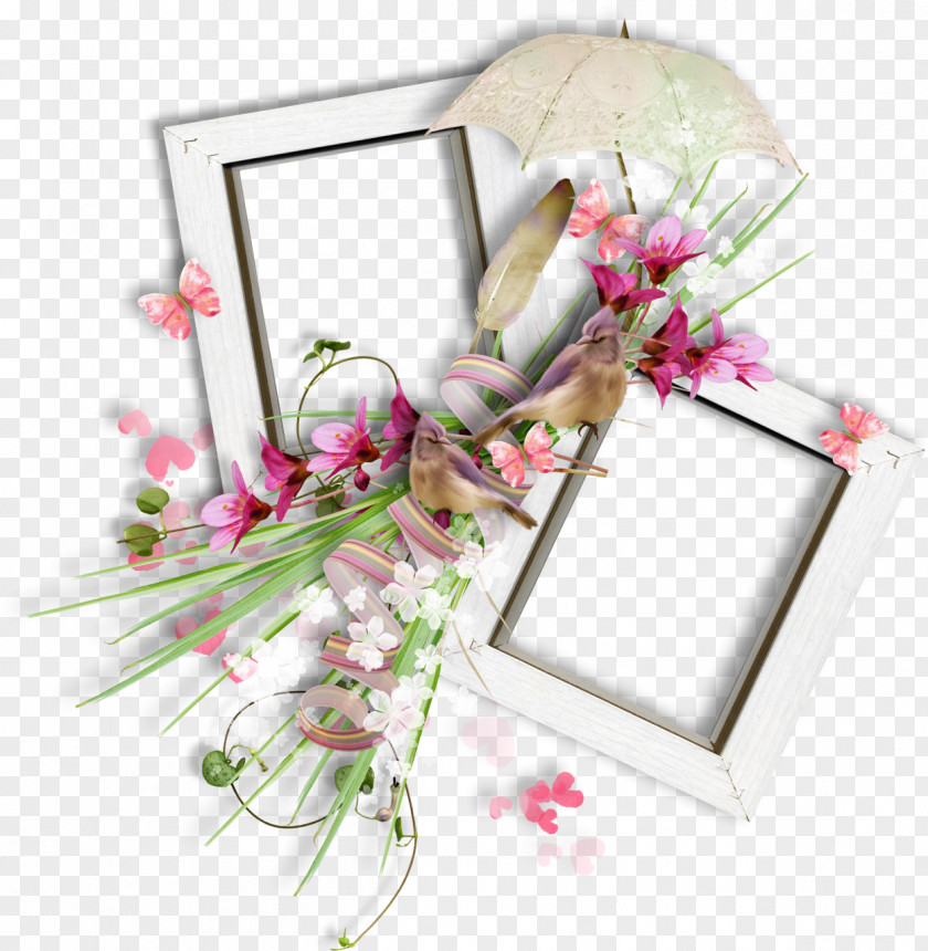 Spring Photo Frame Picture Frames Photography PNG